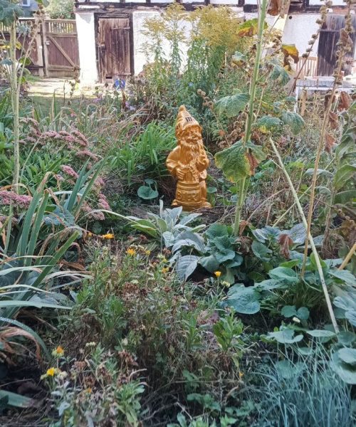 photo_11_2024-10-05_00-58-50