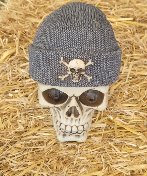 photo_7_2024-09-06_17-04-07